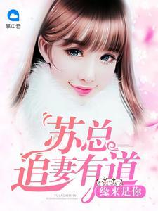 烈风少年