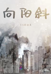 后来我们不再疯狂