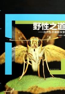 异世最强奶爸