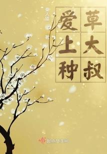 演绎都市生存法