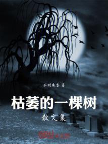 穿越之倾城间谍妃