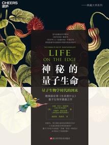 视界的旅行者