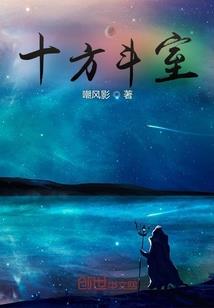 暗翼狂神