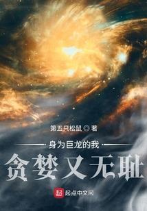 拾光填夏