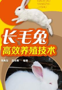 圣神魔玉之秘宝仙踪