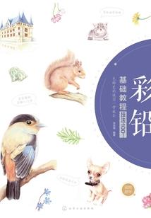 玫瑰花圃猫儿与你