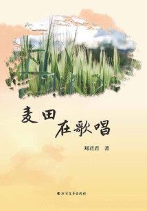 天怒九殇