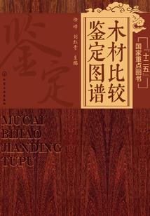 拽少的腹黑甜心