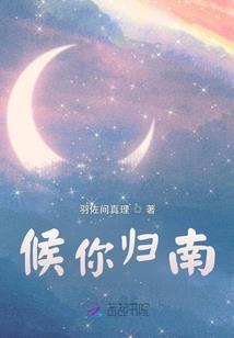 水月离歌