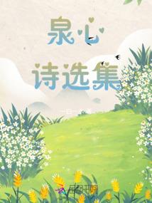 痞子王爷太风流