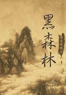 屋顶骑士
