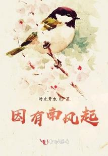 末世之凤凰涅槃