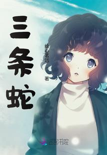 神奇宝贝之圆桌会议