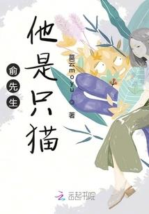 代码圣徒