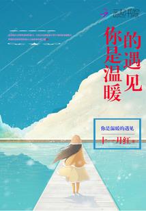 丹心风尘