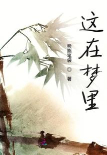 触镜之背