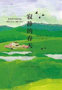 请转身——我一直在等你爱我