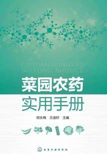 绝世风华武林盟主