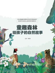 窗内的眺望