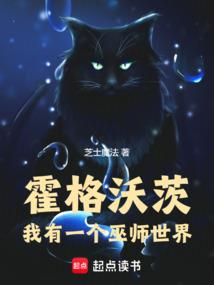 次元游历者
