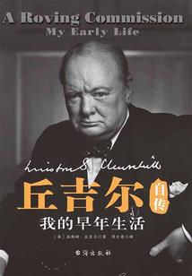 后宫滢滢传