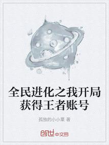 重生之光明圣子