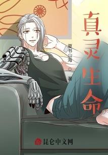 同林鸟2014