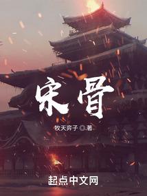 阴阳面