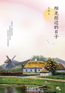 王妃改嫁豪门总裁：穿越成婚