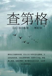 赛尔号之光明重影