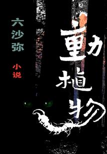 痴情总裁的独爱