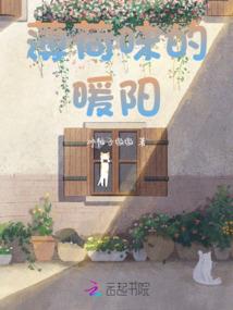 恶棍骑士