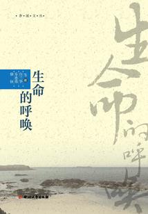 Re：从零开始的剑士物语