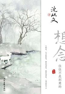 白金律师