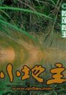 望乡书
