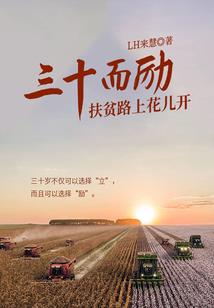 无规则论