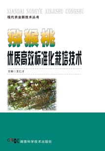 康琦