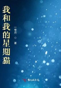我的天降天使