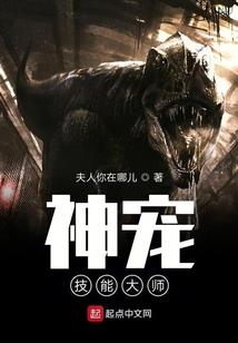 贯穿动漫之使