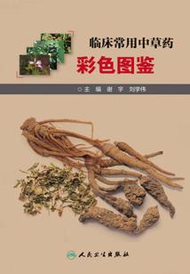 我与你的三寸光阴