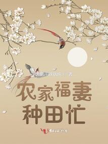 轮回古镜