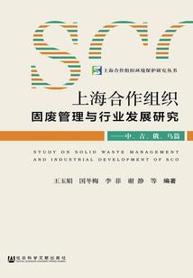 崛起时代