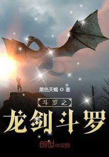 公主小妹之流星雨同人