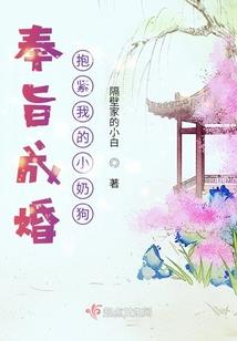 羽神纪