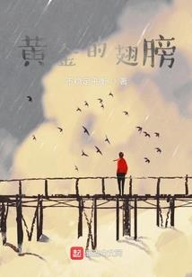 迷途2017