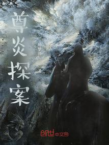 燃烧吧大叔魂