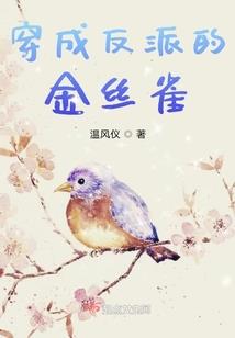 黄金镖客