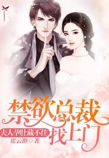 九星军主