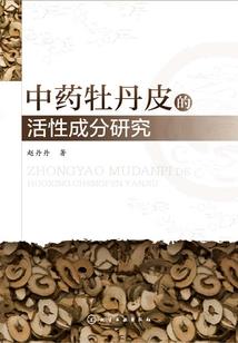 穿梭在动漫世界里的王者