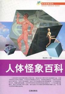 宠物小精灵之天空神